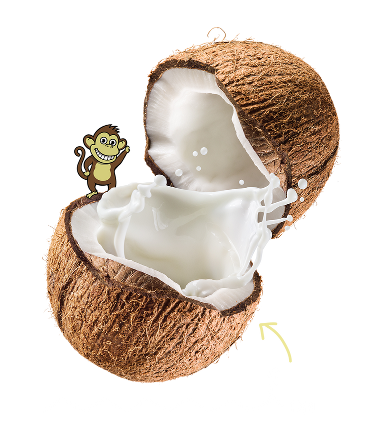 our-difference-coco2